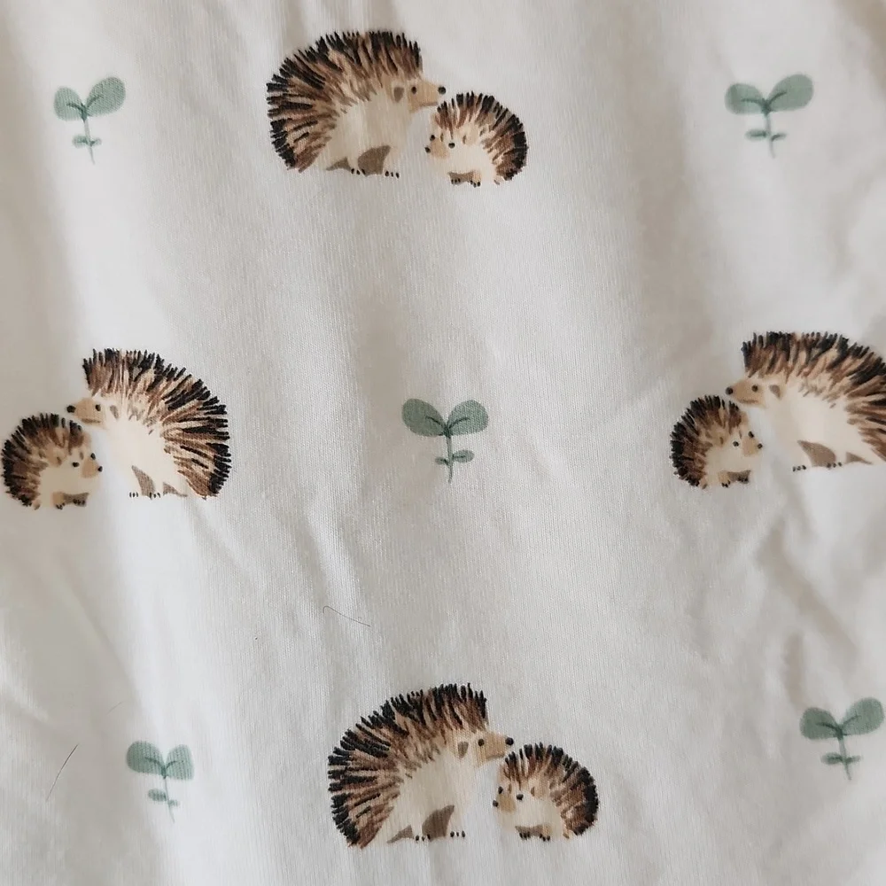Kyte Baby Hedgehog Onesie